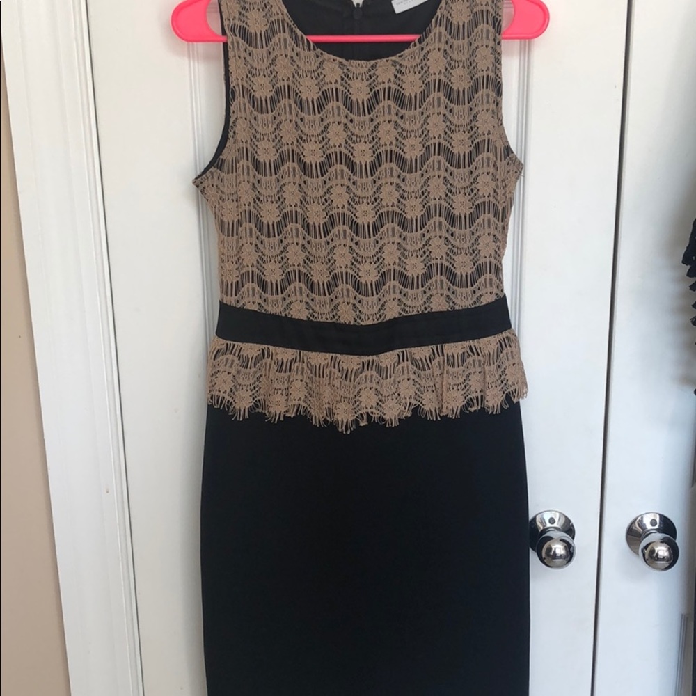 New York & Co Work Dress